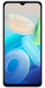 Vivo Y55s Mobile Phone Price in Pakistan